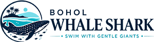 Bohol Whale Shark